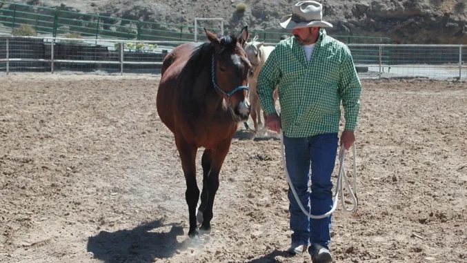 وقتی مرگ منبع درآمد است؛ گزارشی تکاندهنده درباره تجارت جسد وقتی مرگ منبع درآمد است؛ گزارشی تکاندهنده درباره تجارت جسد