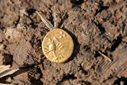 عکس | کشف سکه‌های باستانی در یک مکان غیرمنتظره!