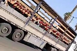 (ویدئو) جابجایی دانش‌آموزان یک مدرسه در جهرم با کامیون عجیب!