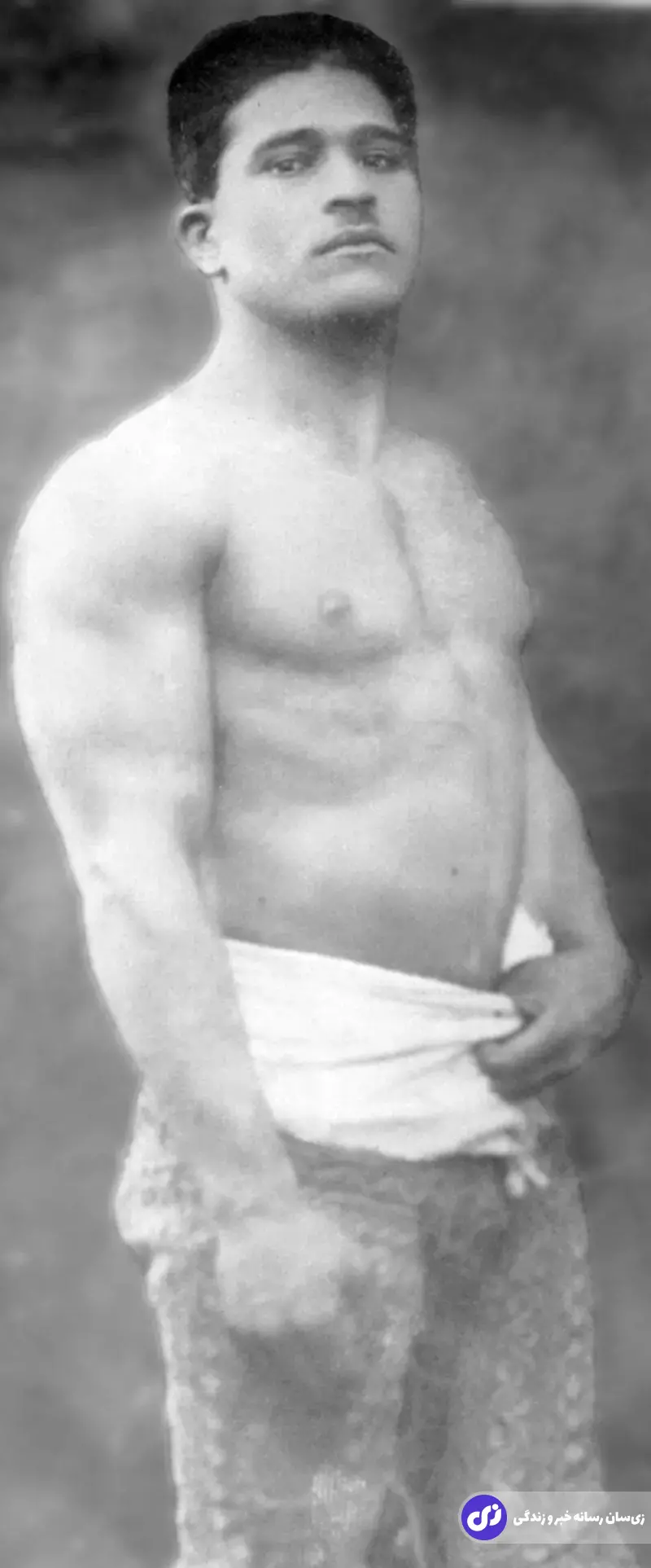 پهلوان سیدعلی