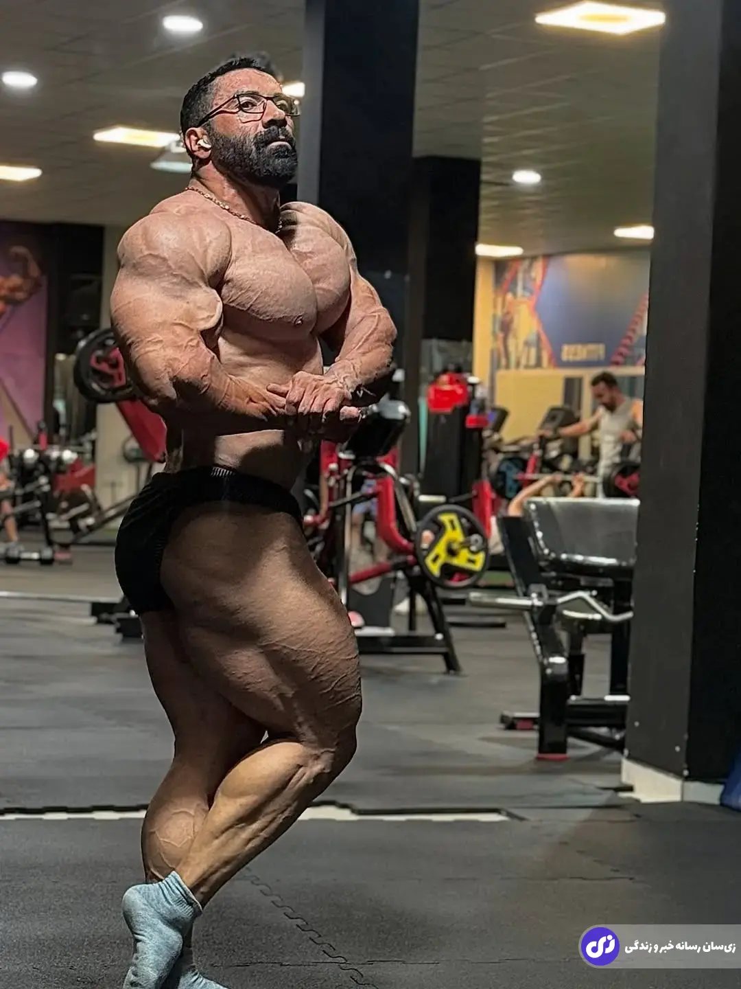 مظاهر تابانی