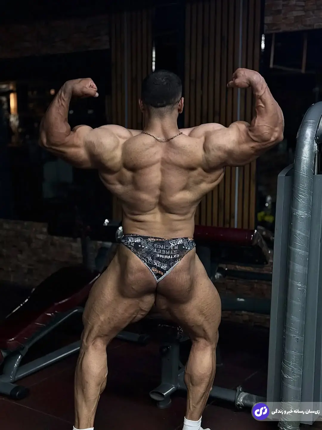 مظاهر تابانی