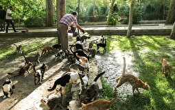 (عکس) وضعیت عجیب پارک هنرمندان تهران