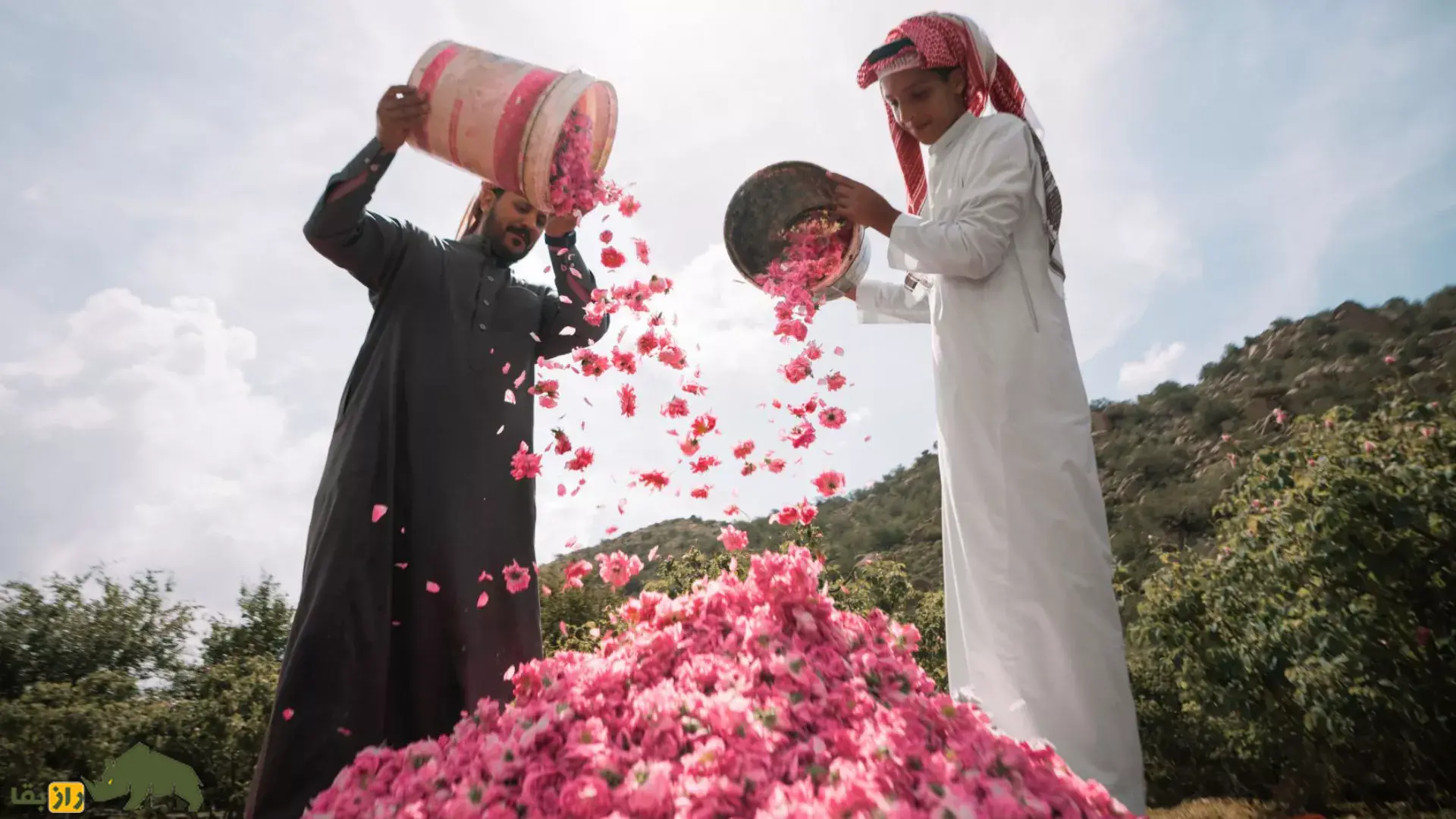 پشت پرده دزدیدن گل محمدی ایران توسط عربستان فاش شد!