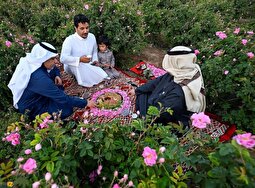 پشت پرده دزدیدن گل محمدی ایران توسط عربستان فاش شد!