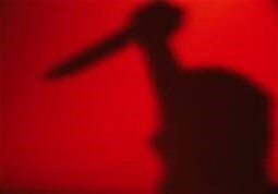 قتل زن ۱۶ ساله به دست همسر ۲۷ ساله‌اش در عجب‌شیر