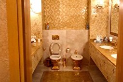 جنجال عجیب «کیسه‌های پول نقد و توالت طلایی» در قلب جنگ اوکراین