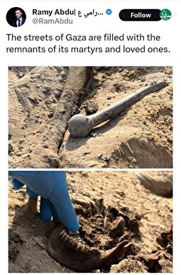 عکس | اجسادی که از زیر خاک بیرون زده‌اند