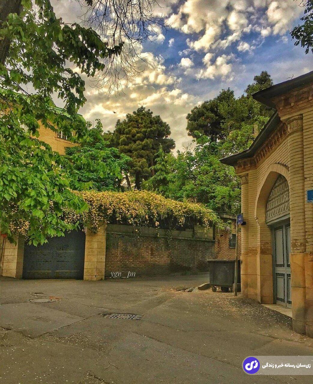 خیابان شهید فلاحی کجاست و چه کسانی در آنجا زندگی میکنند؟ خیابان شهید فلاحی کجاست و چه کسانی در آنجا زندگی میکنند؟