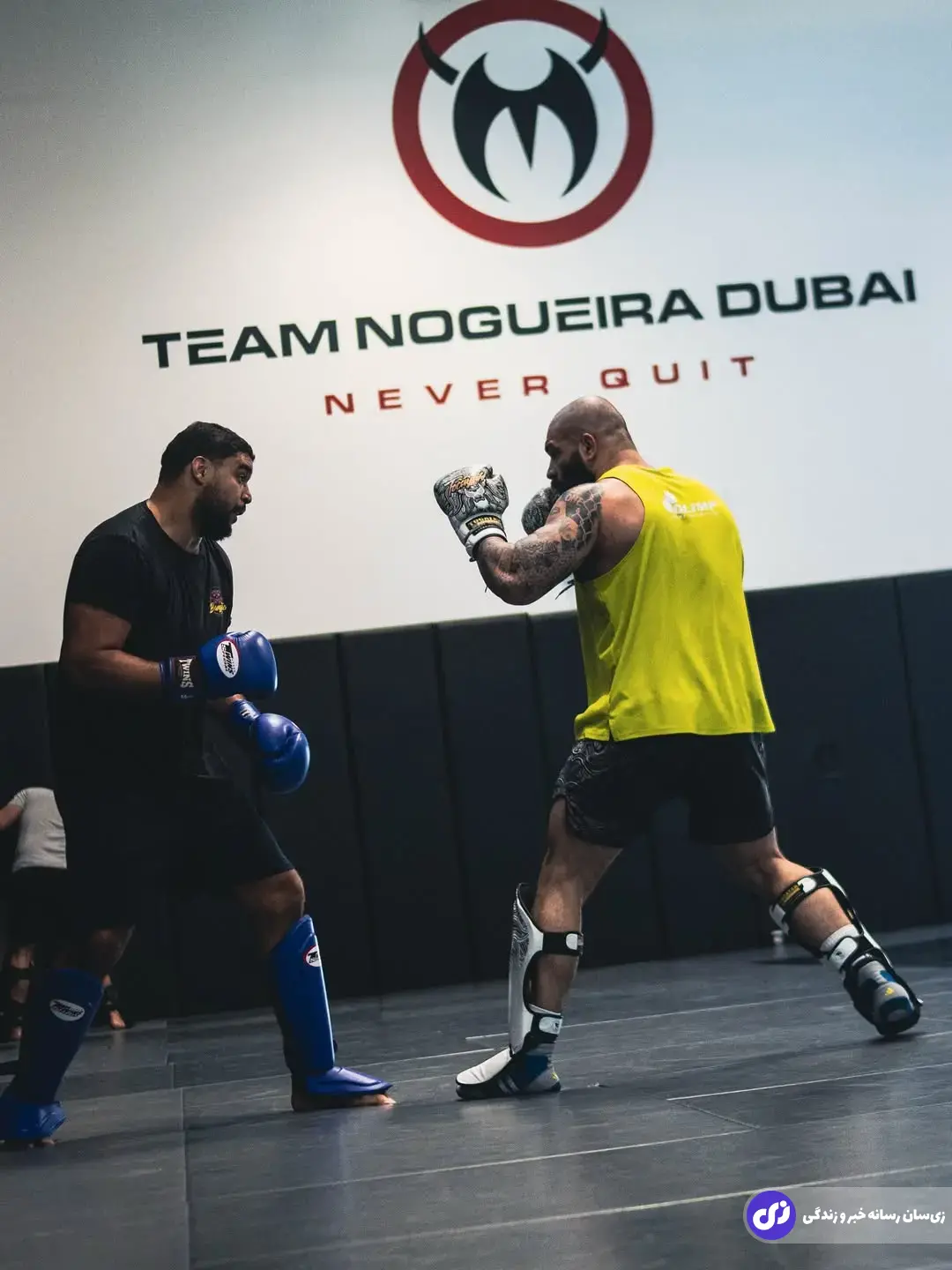 پویا رحمانی