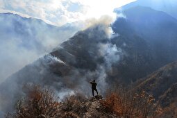 (ویدئو) گریه‌های جانسوز جنگلبانان هنگام سوختن درختان چندهزارساله جنگل‌های هیرکانی