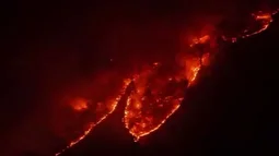 (ویدئو) تلخ‌ترین و واضح‌ترین فیلم از آتش‌سوزی در جنگل‌های هیرکانی در منطقه الیت