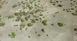 ویدیویی عجیب از ورود اتباع افغان به استان کرمان که توسط پهپاد ضبط شده است