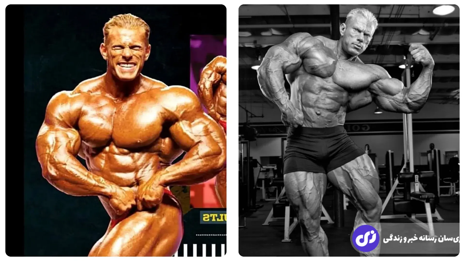 دنیس ولف؛ جذابترین بدنساز قرن جدید مشهور به «گرگ بزرگ بد» که از شوروی گریخت و 10 سال ستاره مسترالمپیا و آرنولد کلاسیک بود دنیس ولف