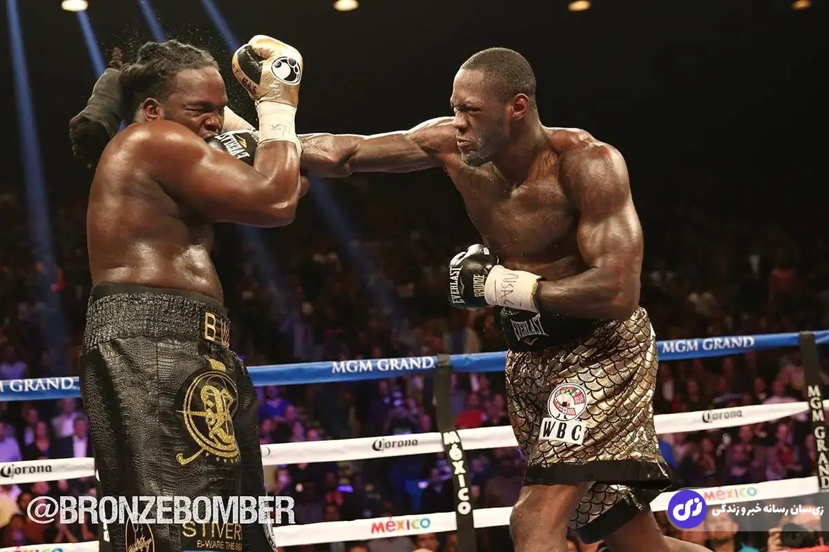 دیانتی وایلدر