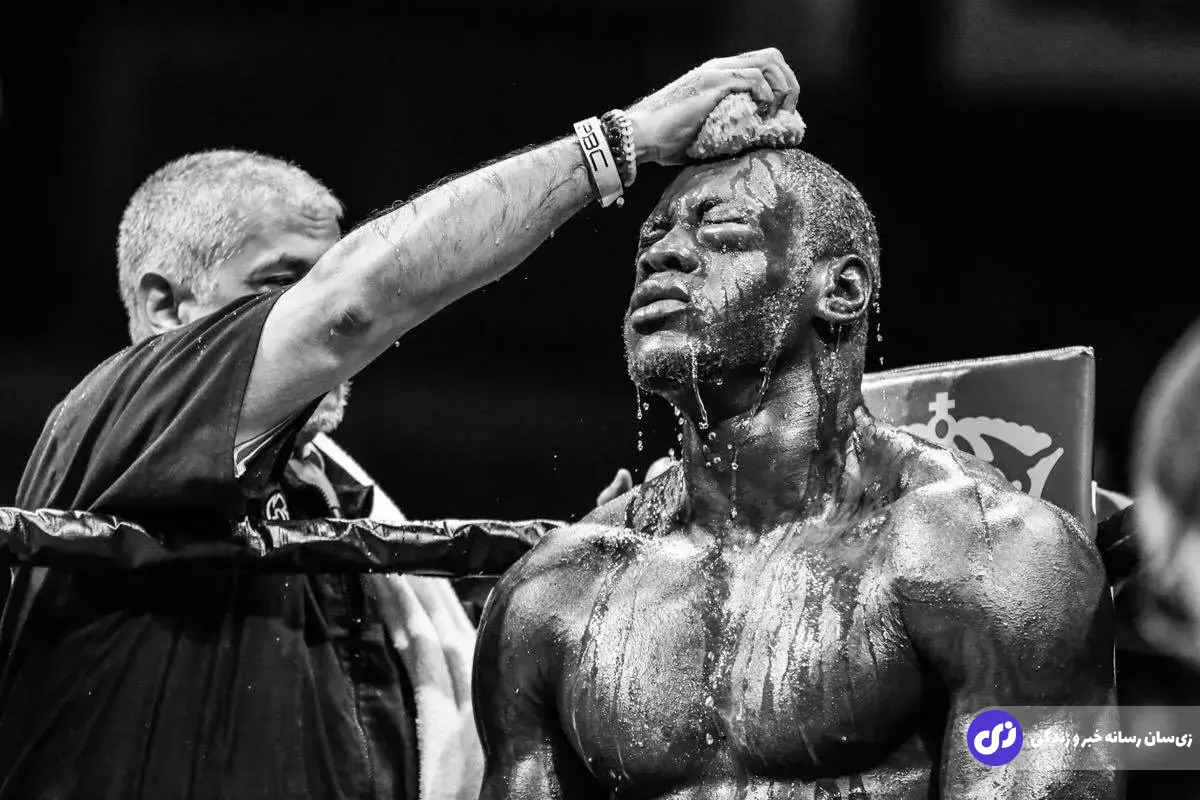 دیانتی وایلدر