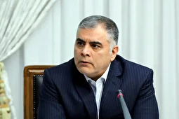 توضیح وزیر نفت درباره صدور کارت سوخت جدید و المثنی