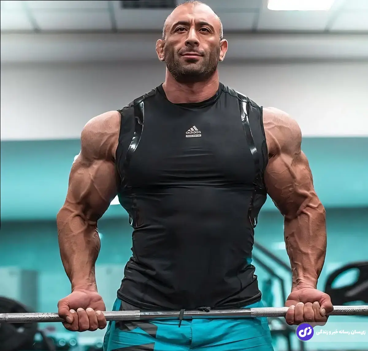 امیرنعیم حسنی