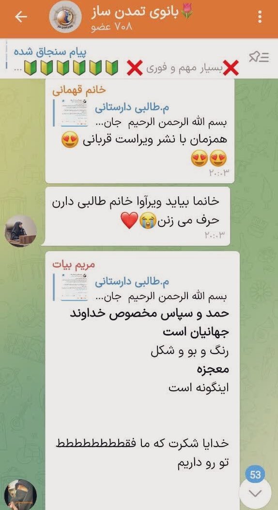 چت جنجالی که از مهری طالبی دارستانی به بیرون درز کرد