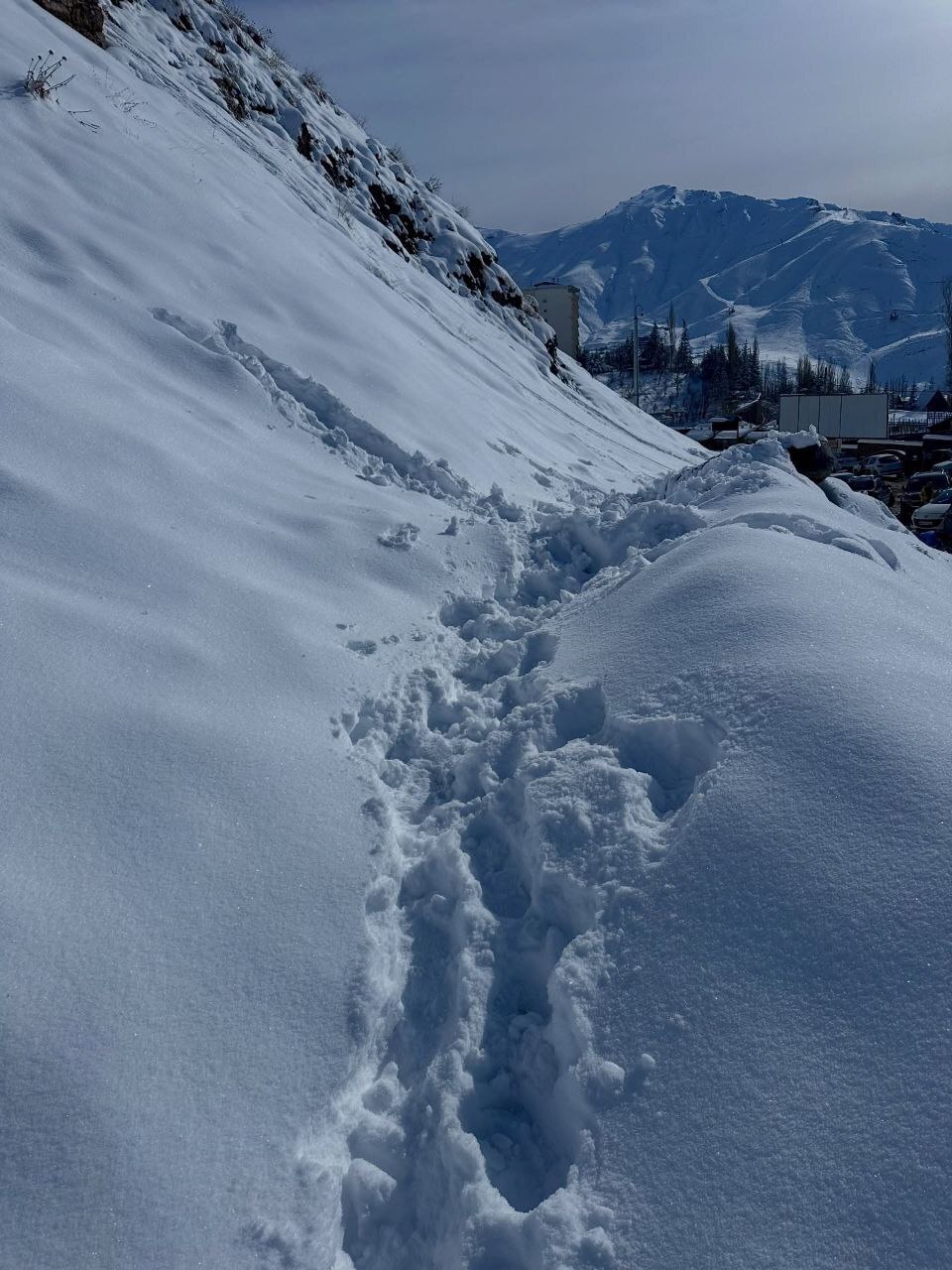 تصاویری از بارش برف سنگین در شمشک