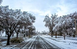 پیش‌بینی هواشناسی برای شیراز و کل استان فارس امروز سه شنبه ۲۵ آذر؛ هشدار قرمز و لغو مرخصی‌ها و ماموریت‌های دولتی