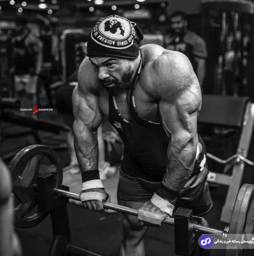 بابک اکبرنیا