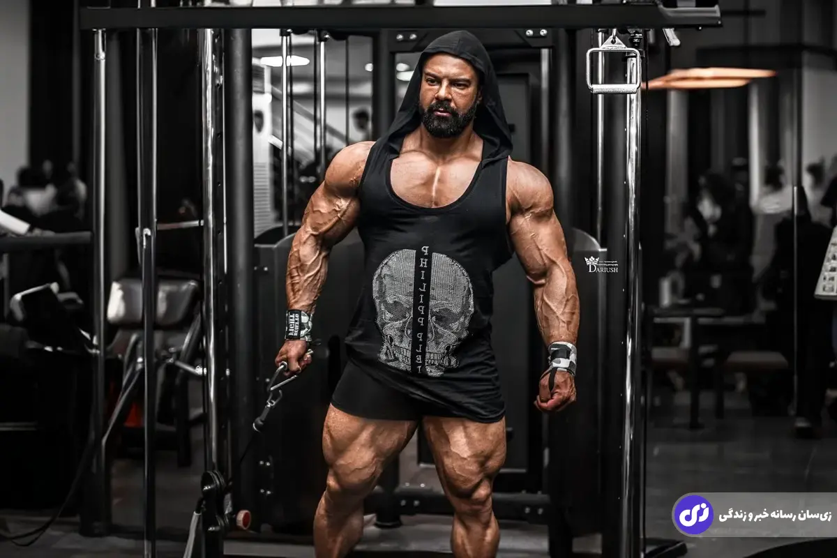 بابک اکبرنیا