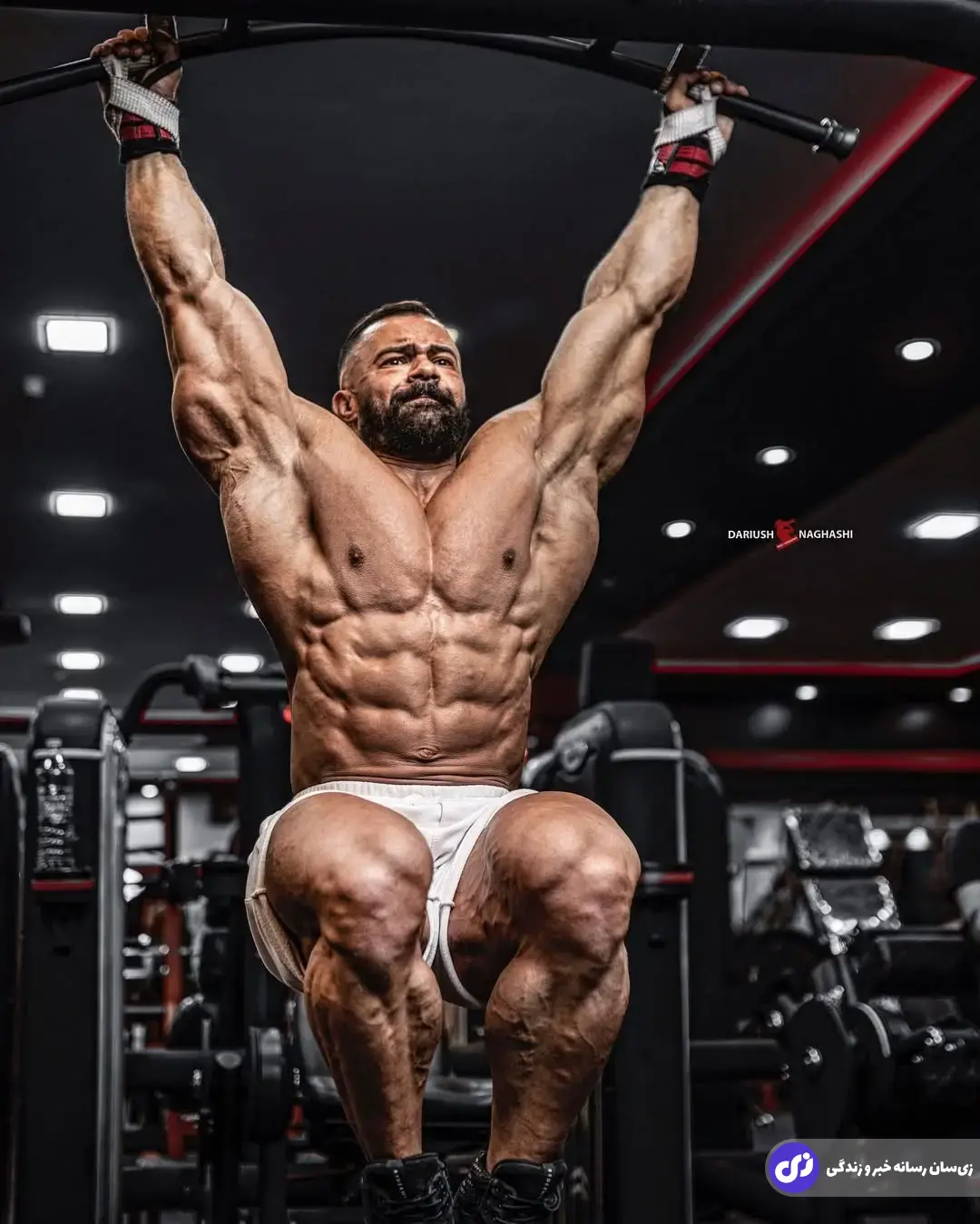 بابک اکبرنیا