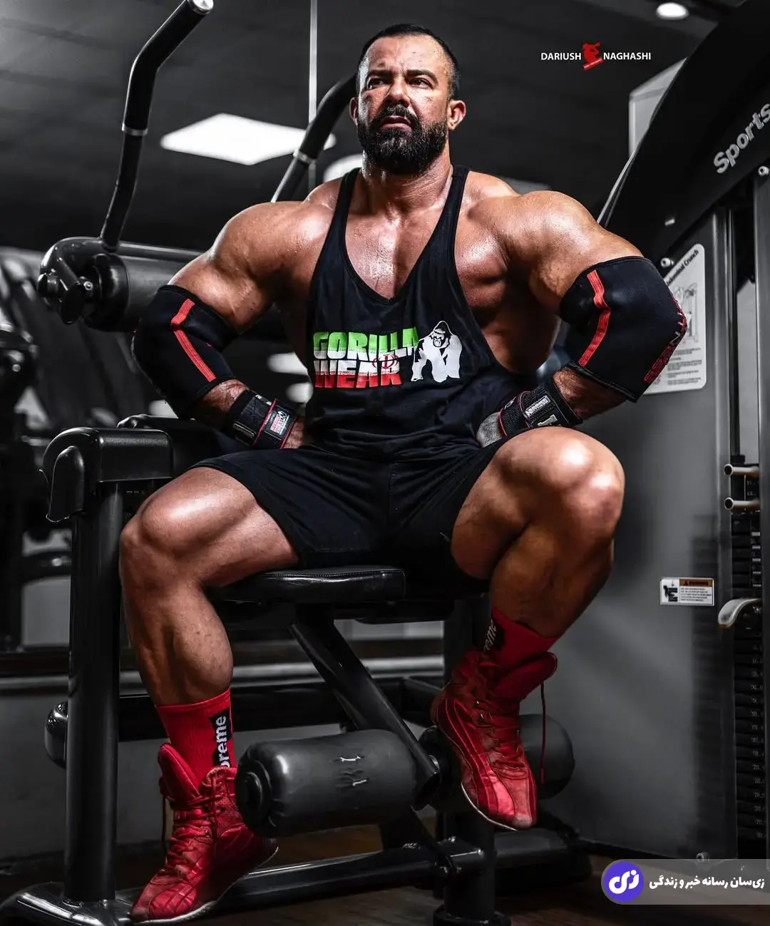 بابک اکبرنیا