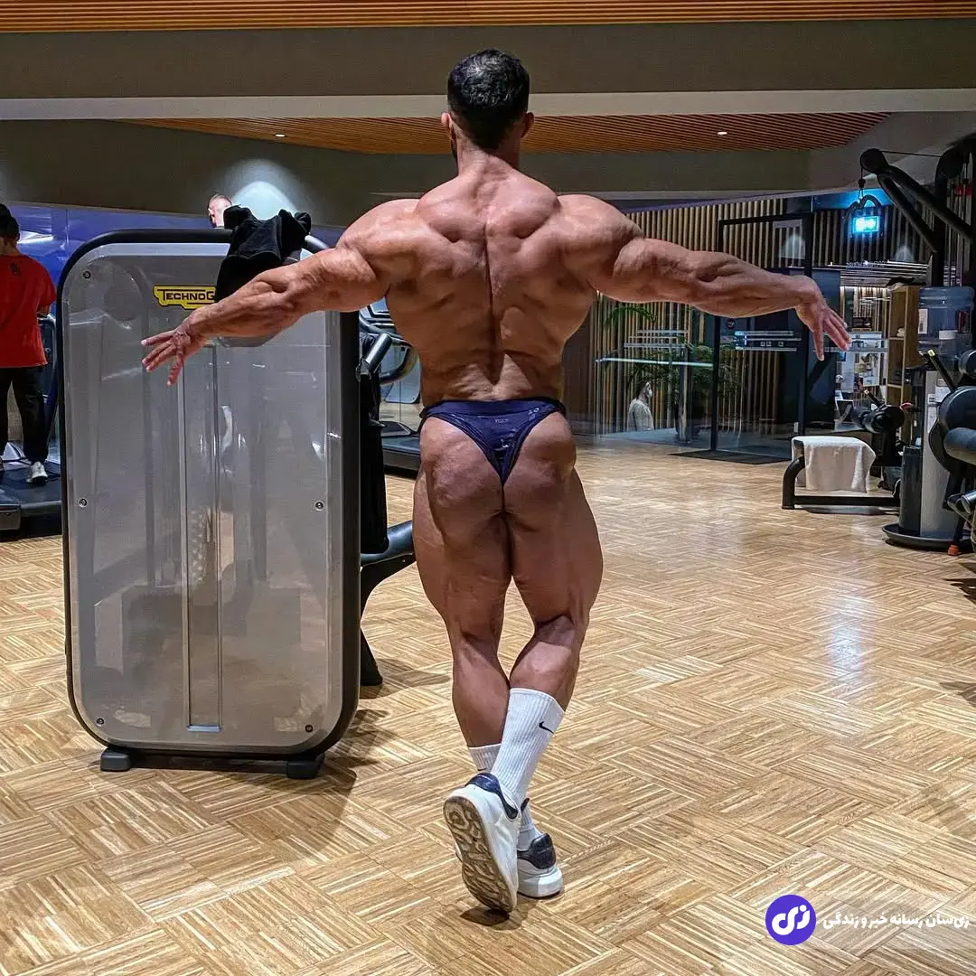 بابک اکبرنیا