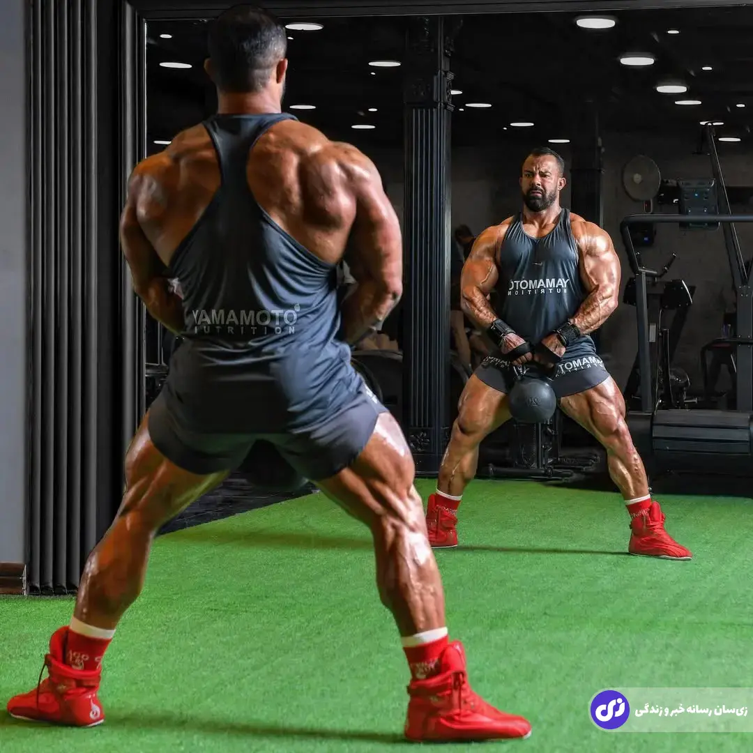 بابک اکبرنیا