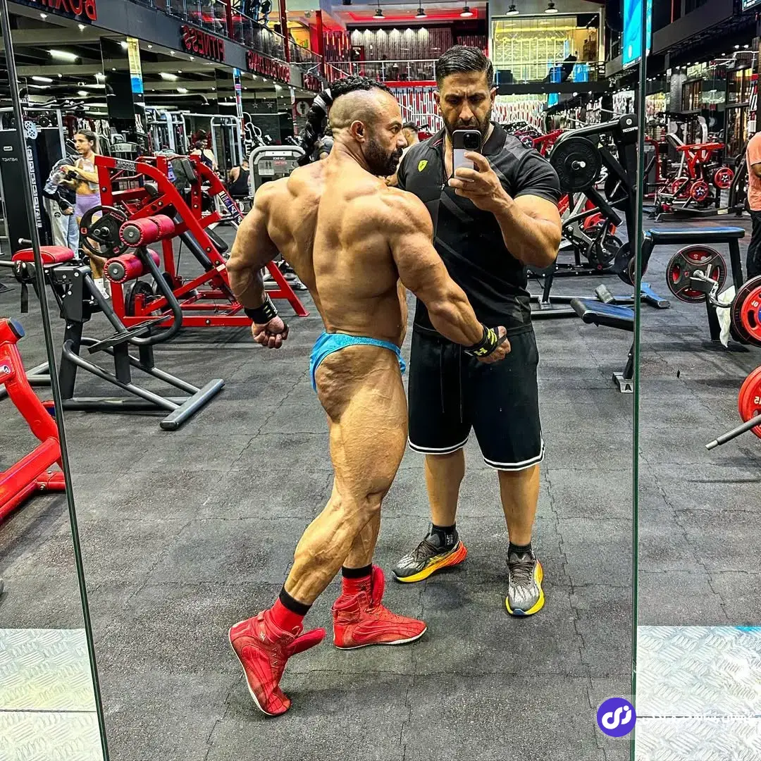 بابک اکبرنیا