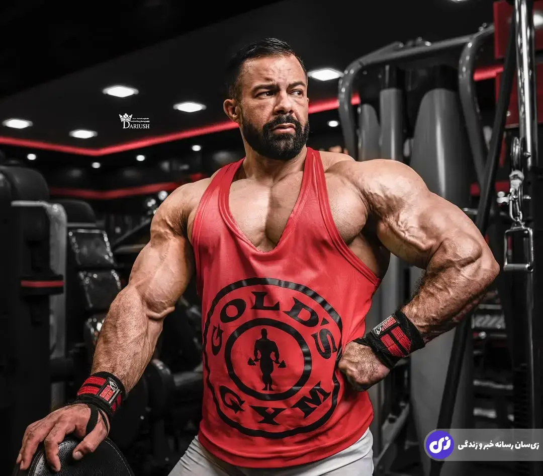 بابک اکبرنیا