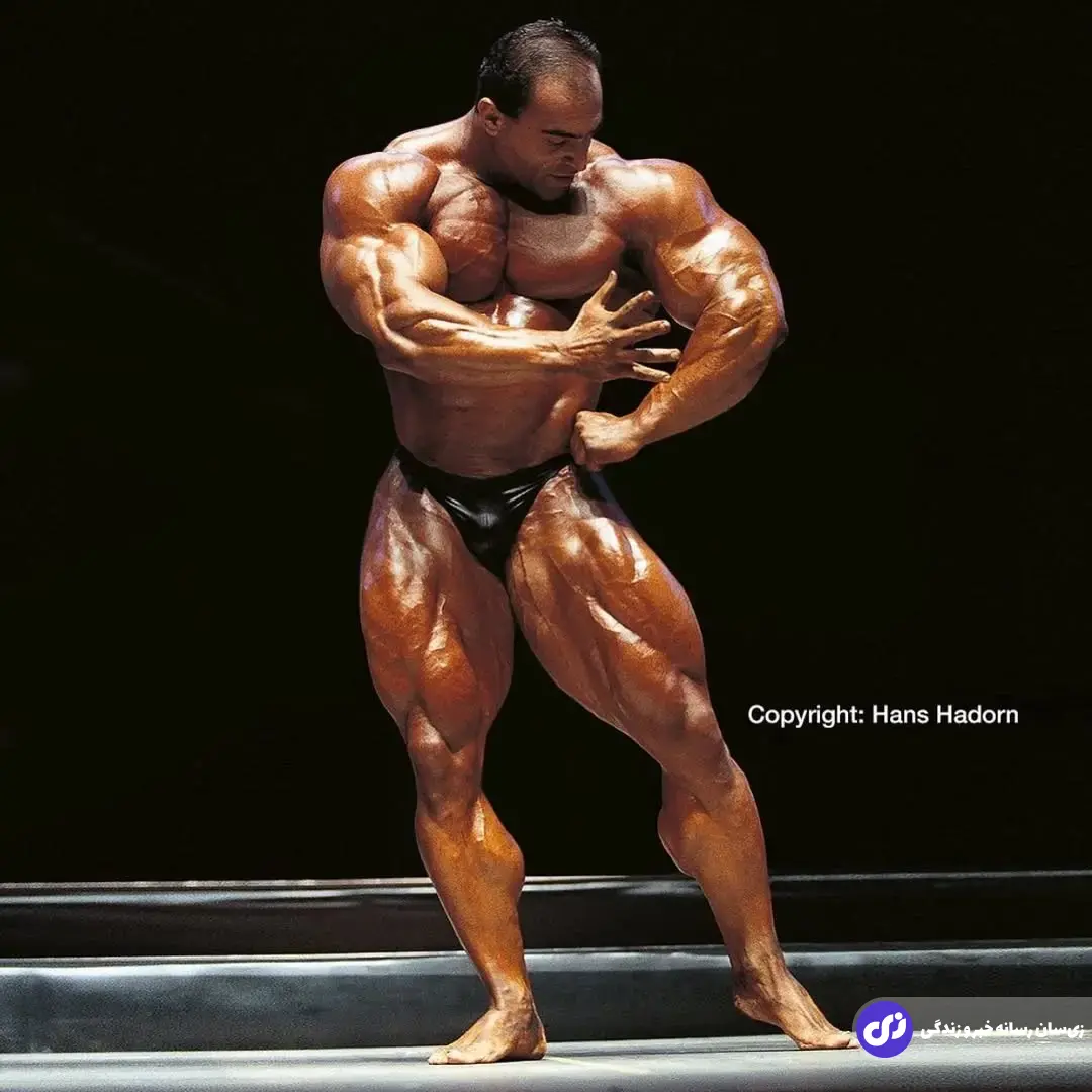 ناصر السنباطی