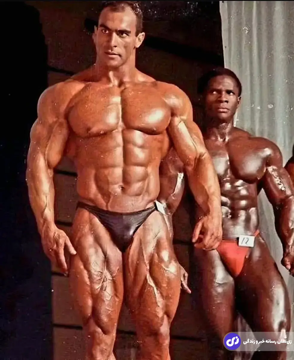 ناصر السنباطی