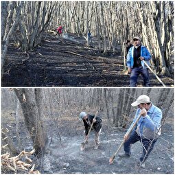 عکس یادگاری یک مسئول درحال خاموش کردن آتش جنگل؛ صادق میکائیلی کیست؟