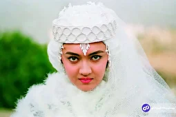 (ویدئو) روایت بهروز افخمی از نقش پدر نیکی کریمی در قراردادهای بازیگری او؛ گفتم اگر به خودش زنگ بزنید سوار کول ما می‌شود!