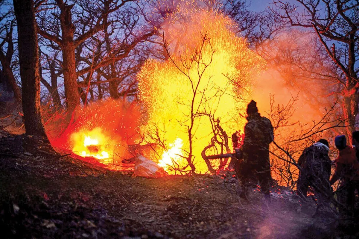 آتش‌سوزی جنگل‌های الیت بالاخره مهار شد