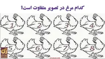 معما با جواب: مرغ متفاوت در این تصویر را زیر ۳۰ ثانیه پیدا کنید؟