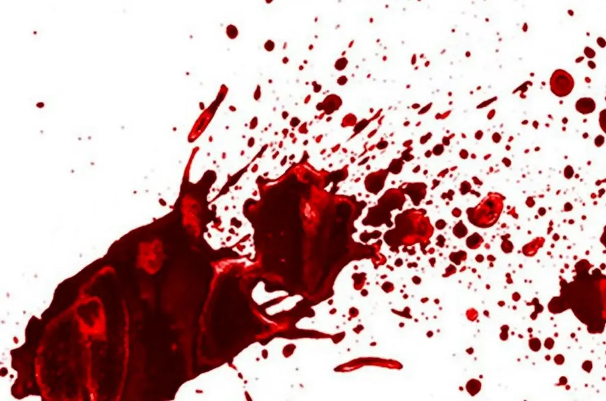 متلاشی کردن جمجمه مرد ۵۵ ساله با تفنگ دولول به خاطر چیدن آلو