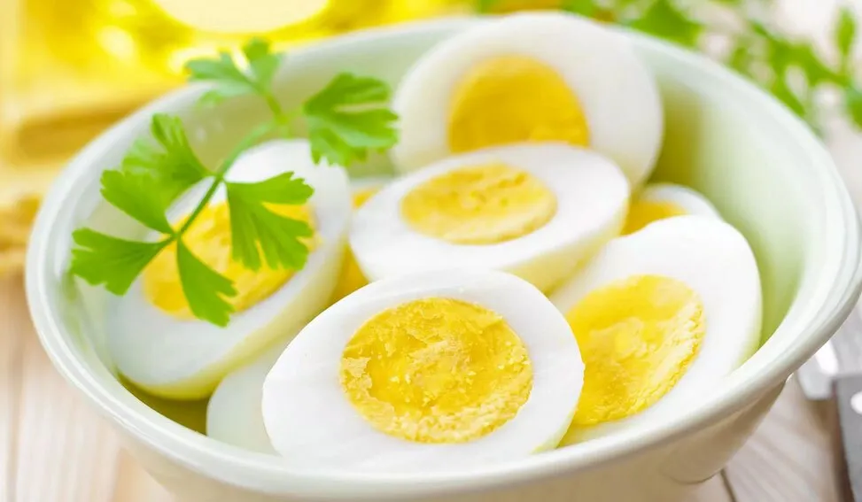 روزی چند عدد تخم‌‌مرغ می‌توان خورد؟