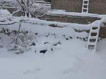 (عکس) حجم باورنکردنی برف حیاط یک خانه در این شهر را ببینید