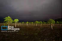 (تصاویر) دریاچه الندان در آستانه خشک شدن کامل