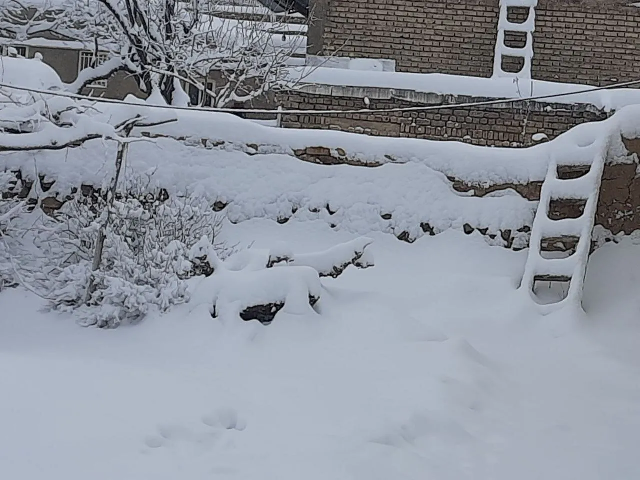 (عکس) حجم باورنکردنی برف حیاط یک خانه در این شهر را ببینید