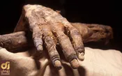 تصویرى از عجیب‌ترین انگشت مومیایى شده جهان!
