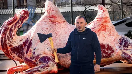 قیمت گوشت شتر مرداد ۱۴۰۵ در ایران؛ هر کیلو گوشت شتر چند است و آیا گوشت شتر از گوشت گاو سالم‌تر است؟