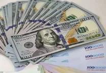 قیمت دلار هرات امروز یکشنبه ۹ دی ۱۴۰۳