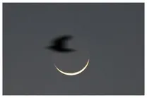 هلال ماه رمضان رویت شد