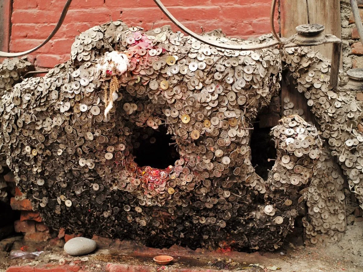 عکس | درختی برای درمان دندان‌درد!