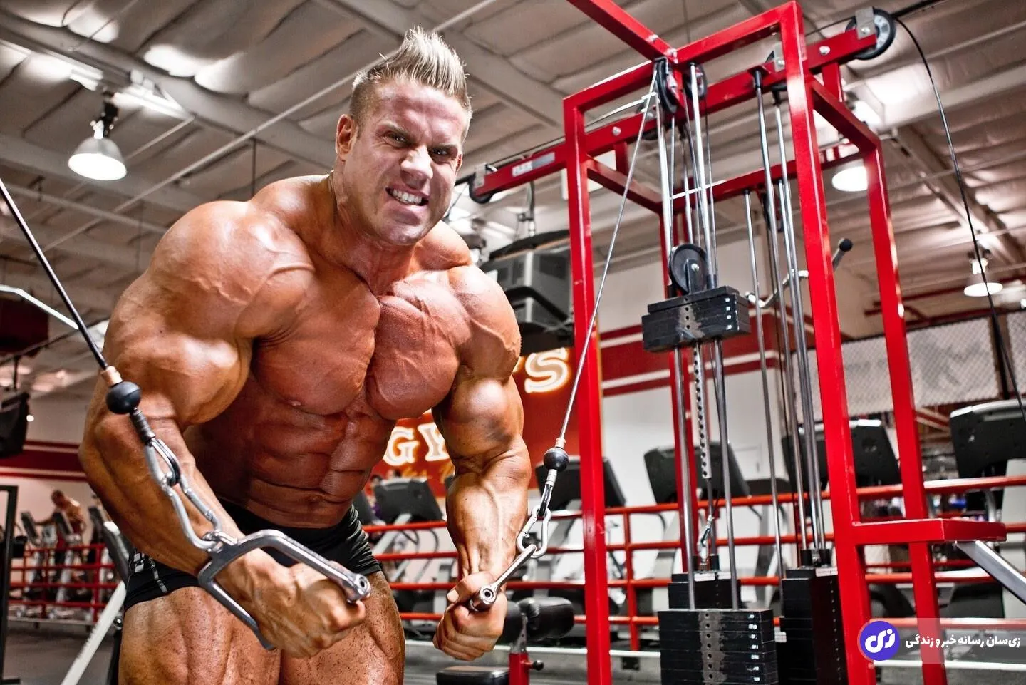 جی کاتلر؛ بدنسازی که با اراده‌اش تاریخ مستر المپیا را تغییر داد و کارگر ساختمان به ۴ قهرمانی مسترالمپیا رسید!